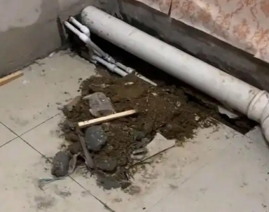 衡东卫生间漏水检测哪家好