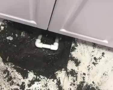衡东查漏水哪家好
